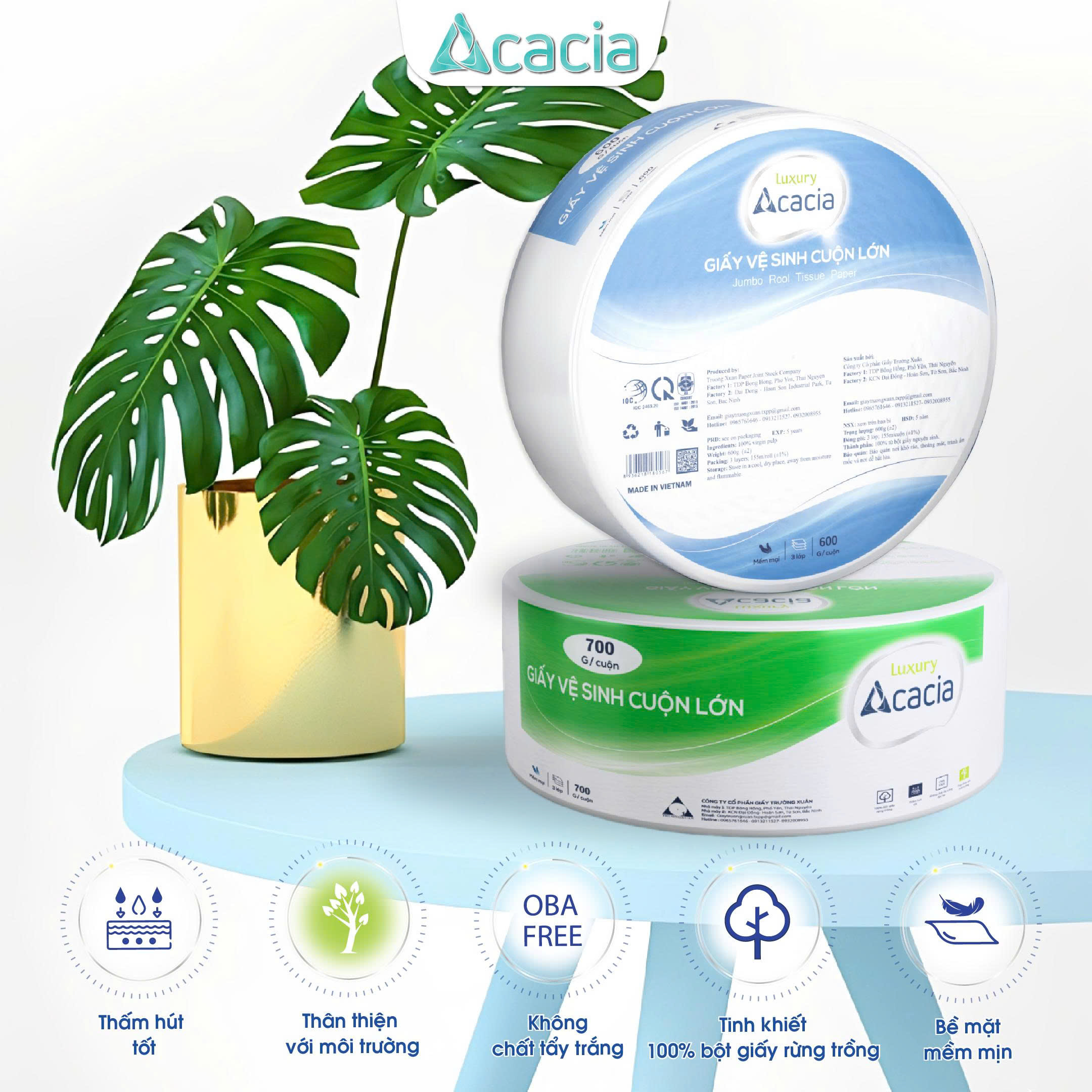 Giấy vệ sinh cuộn lớn Acacia