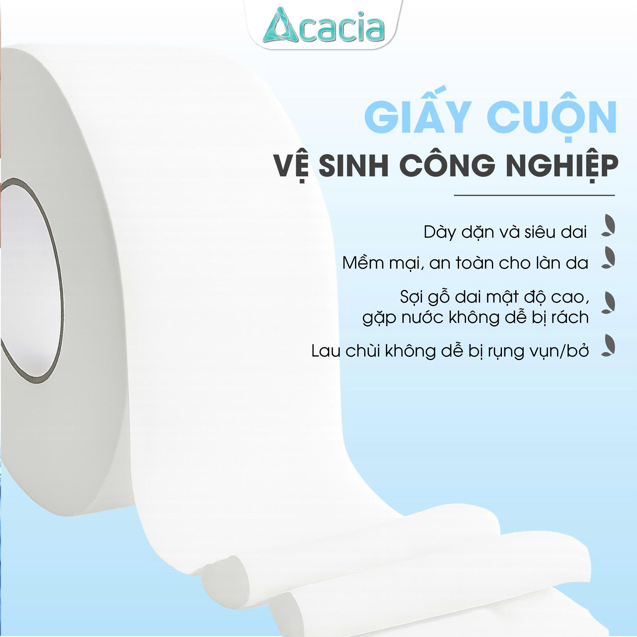 Giấy vệ sinh cuộn lớn Acacia