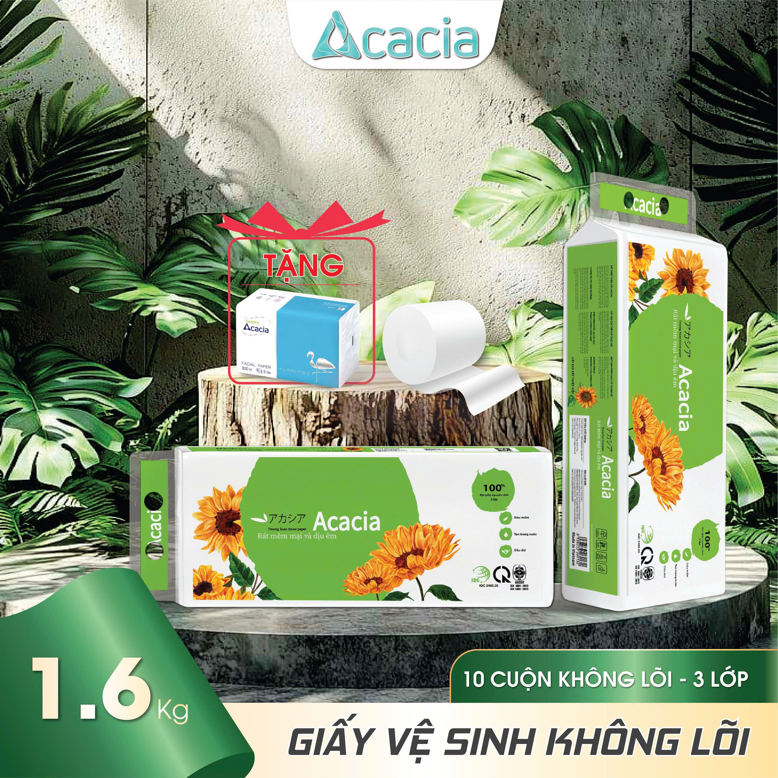 Giấy Toilet ACACIA Hướng Dương 10 cuộn không lõi (Xanh)