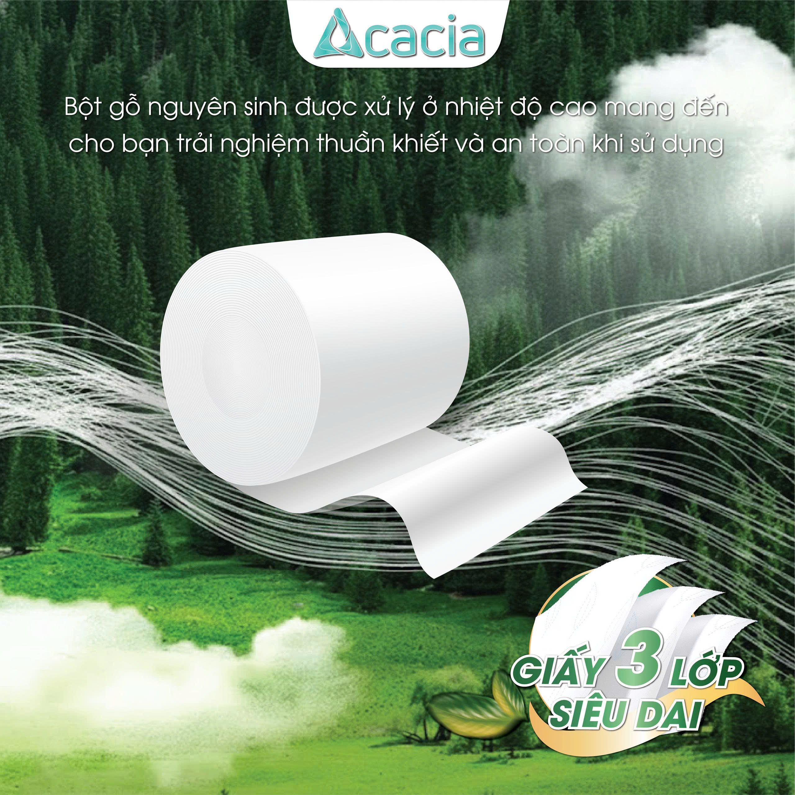 Giấy Toilet ACACIA Hướng Dương 10 cuộn không lõi (Xanh)